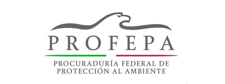 logo_profepa_2013-1.jpeg